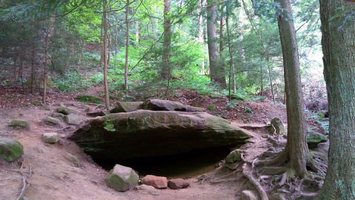 Race photo: Mohican Trail 100 Mile Run