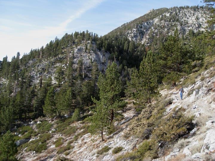 Race photo: Tahoe 200 Endurance Run