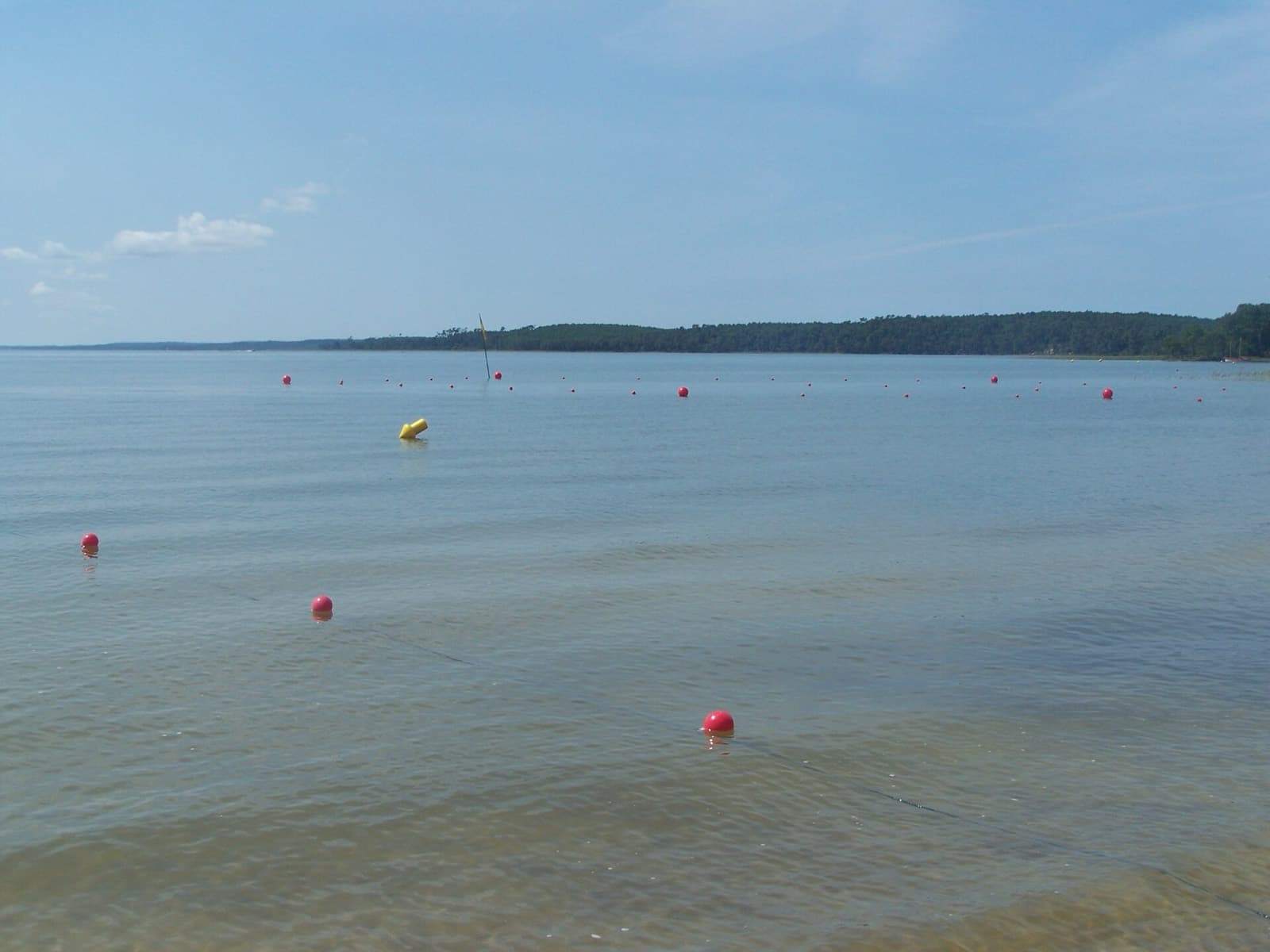 FrenchMan Triathlon XXL (Carcans-Maubuisson): lac d'hourtin-carcans with swim buoys (swim venue)