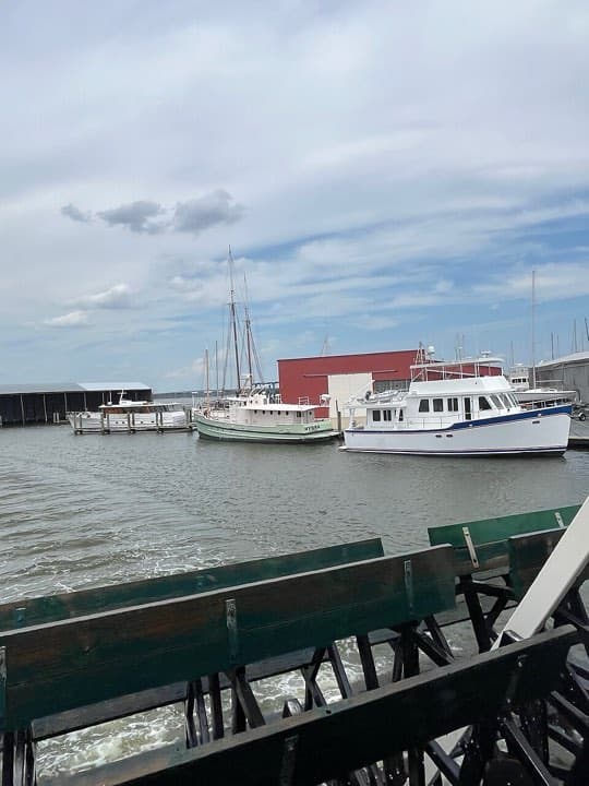 IRONMAN Maryland (Cambridge): choptank river at cambridge (swim venue)