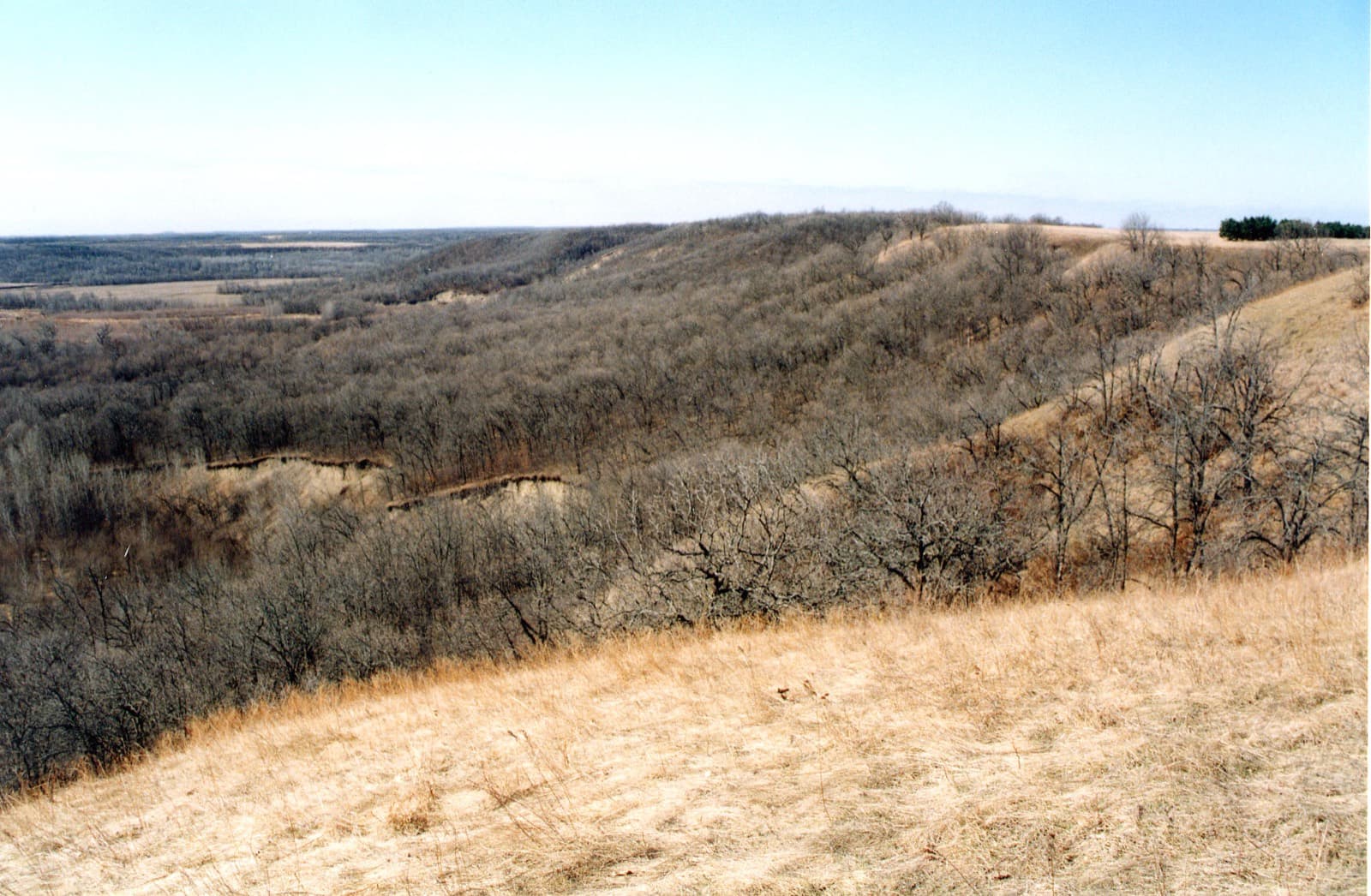 Wilderman Full (Wilderman Offroad Triathlon): pembina escarpment/gorge landscape, north dakota