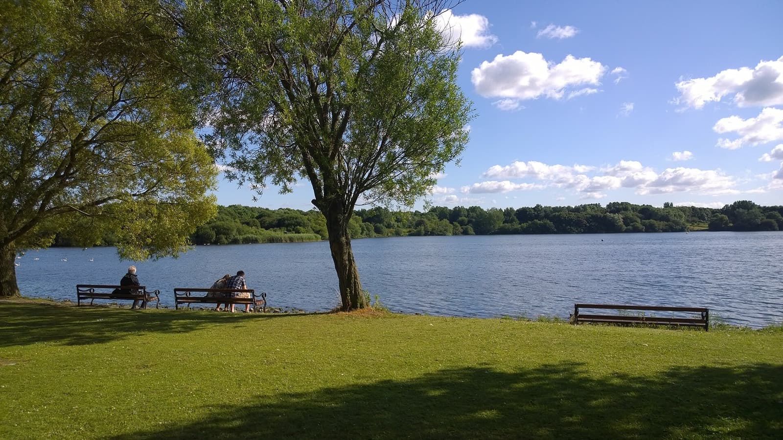 IRONMAN 70.3 Bolton: pennington flash lake (swim venue)