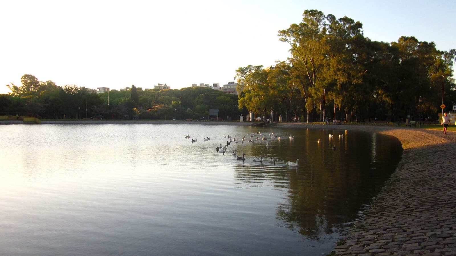 IRONMAN 70.3 Buenos Aires Palermo: lago de regatas at sunset (swim venue)