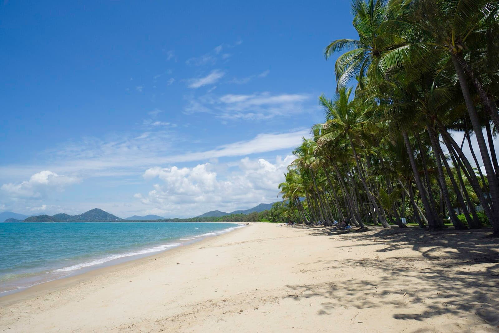 IRONMAN 70.3 Cairns: palm cove beach (swim venue)