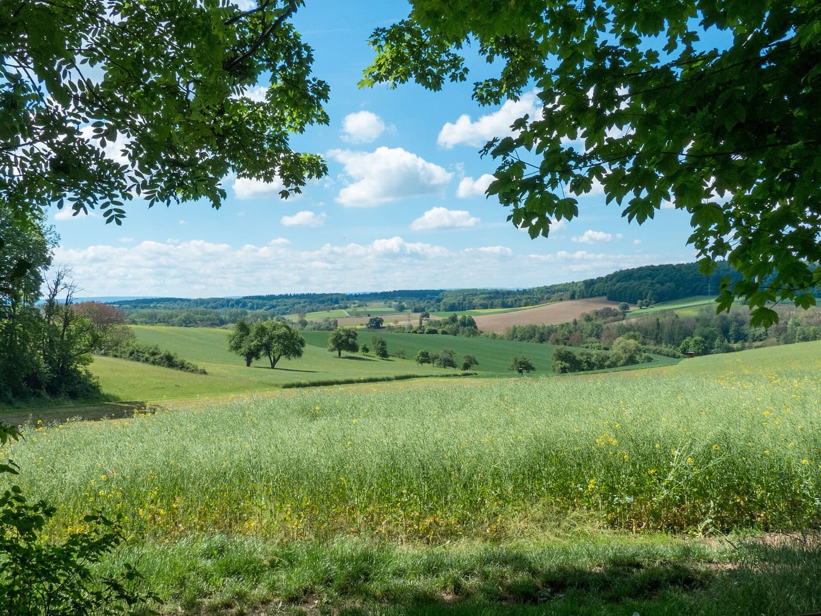 IRONMAN 70.3 Kraichgau: kraichgau rolling countryside near the bike course