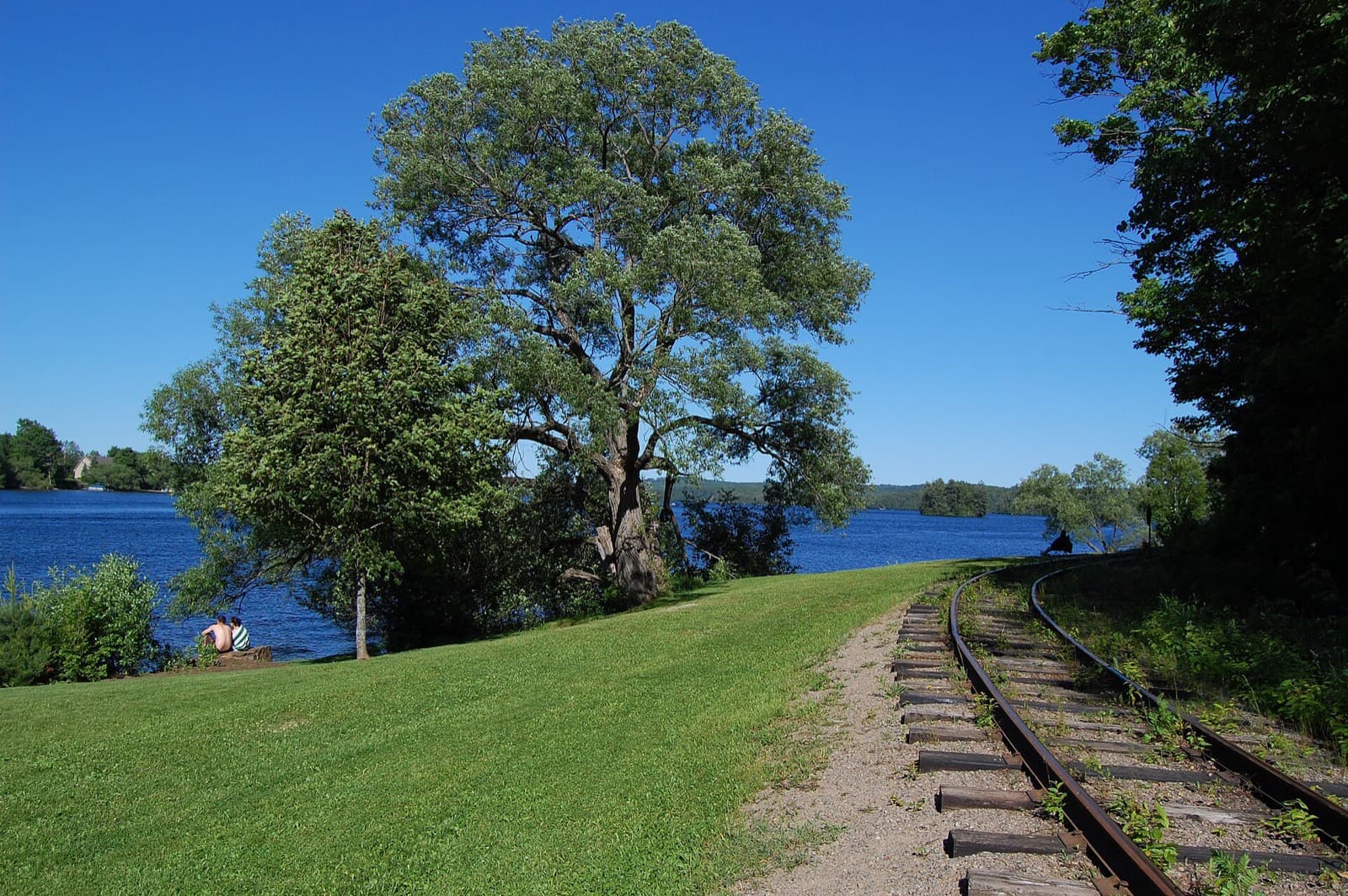 IRONMAN 70.3 Muskoka: fairy lake, huntsville (swim venue)