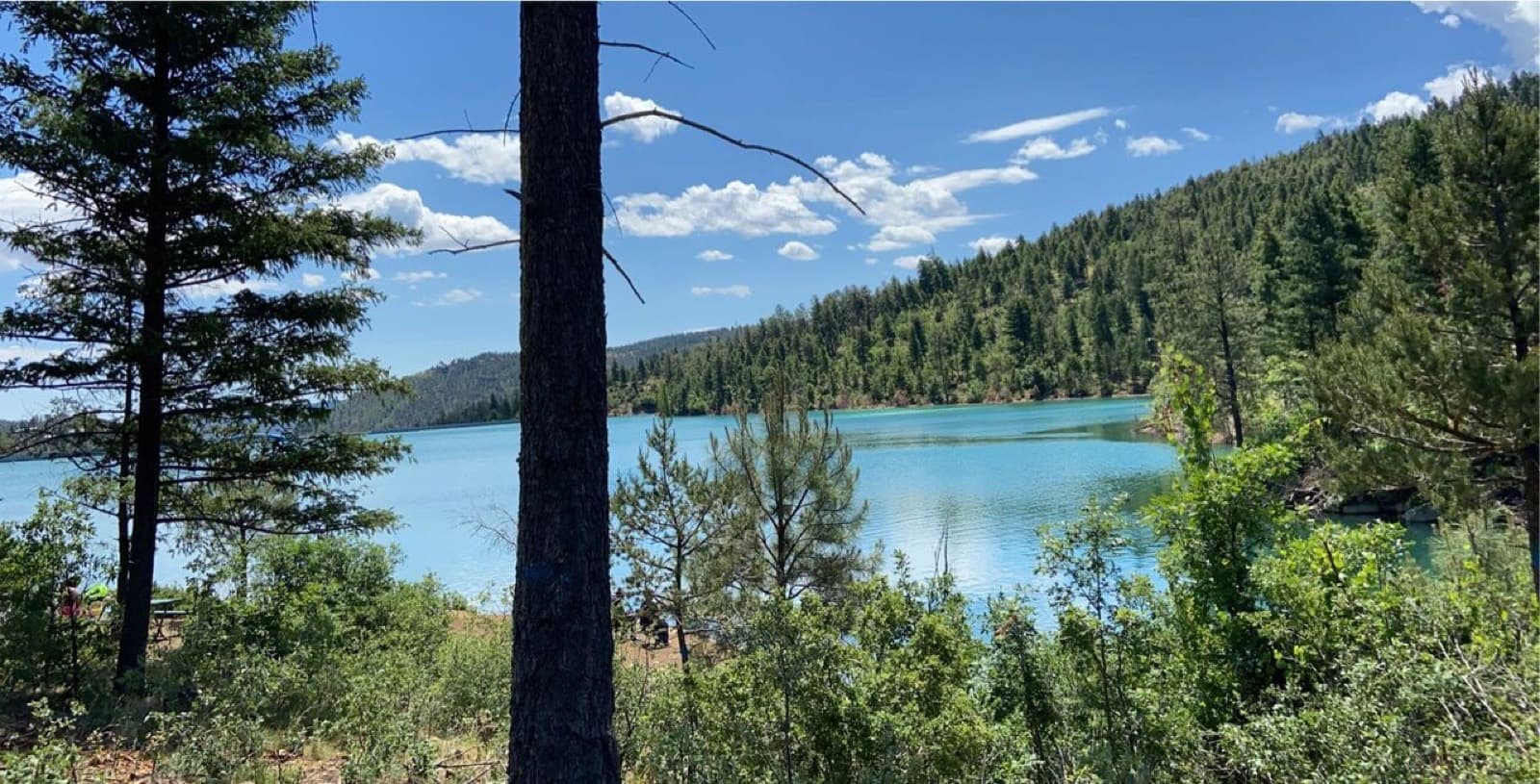 IRONMAN 70.3 Ruidoso New Mexico: blue-green mountain lake in ruidoso surrounded by pines