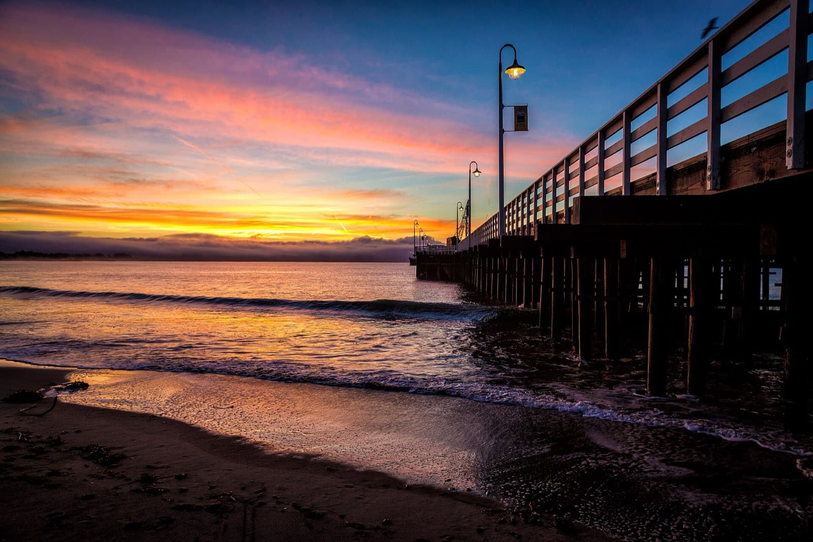 IRONMAN 70.3 Santa Cruz: santa cruz wharf (swim loop)