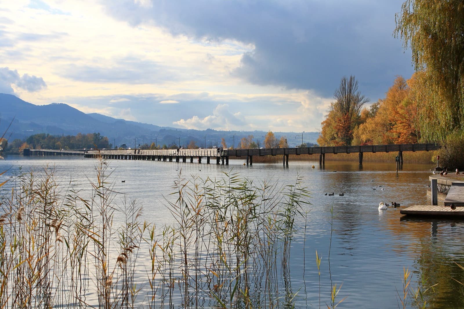 IRONMAN 70.3 Switzerland: obersee and rapperswil wooden bridge (swim venue)