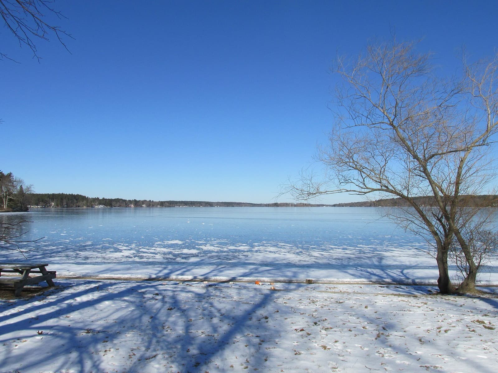 Patriot Half: long pond (lakeville/freetown, ma), swim venue, frozen in winter