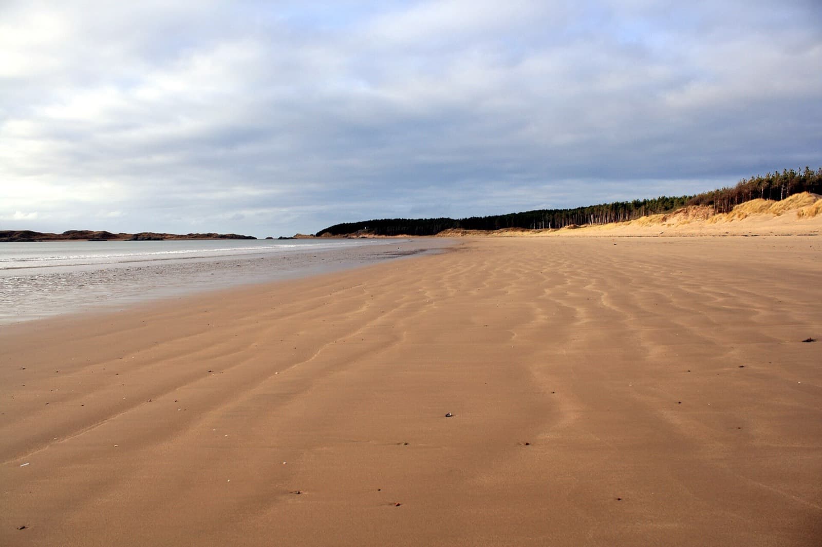 Sandman Legend (Newborough, Anglesey): newborough beach with the forest, swim start and finish area