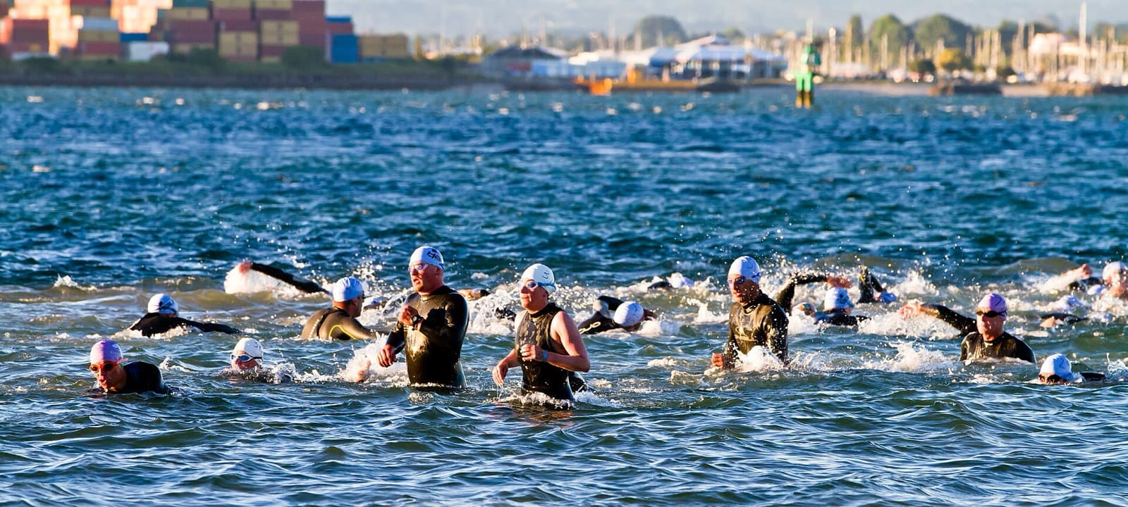 Tauranga Half (Mount Festival of Multisport): race-day swim exit, port of tauranga half 2011