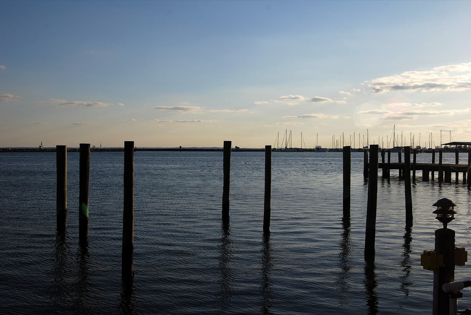 Waterman's Triathlon Festival (Long Course Half): rock hall harbor water and sailboat masts at dusk