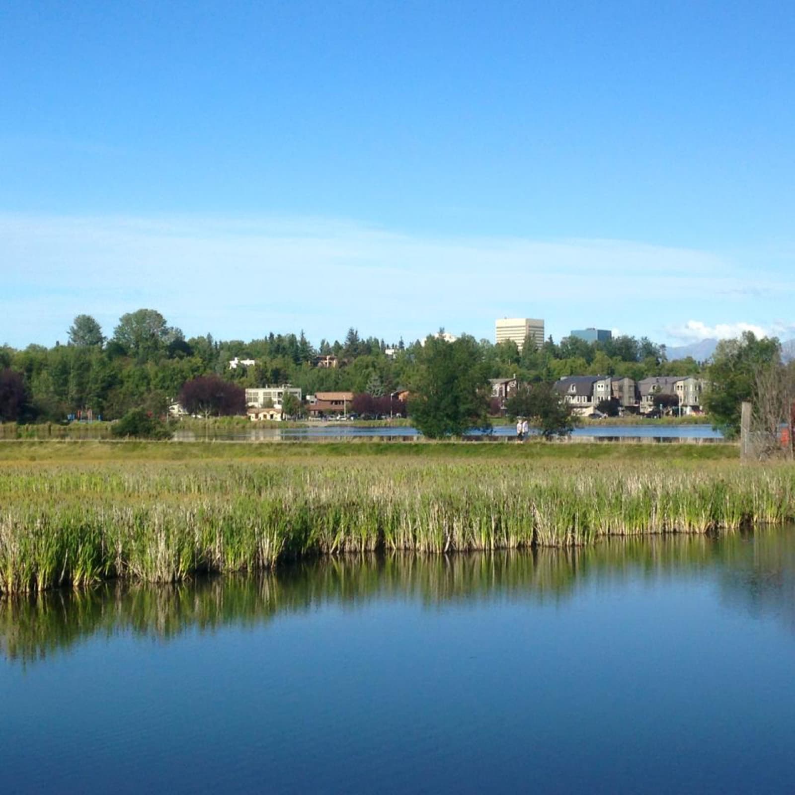 Anchorage Mayor's Marathon: anchorage skyline from the tony knowles coastal trail