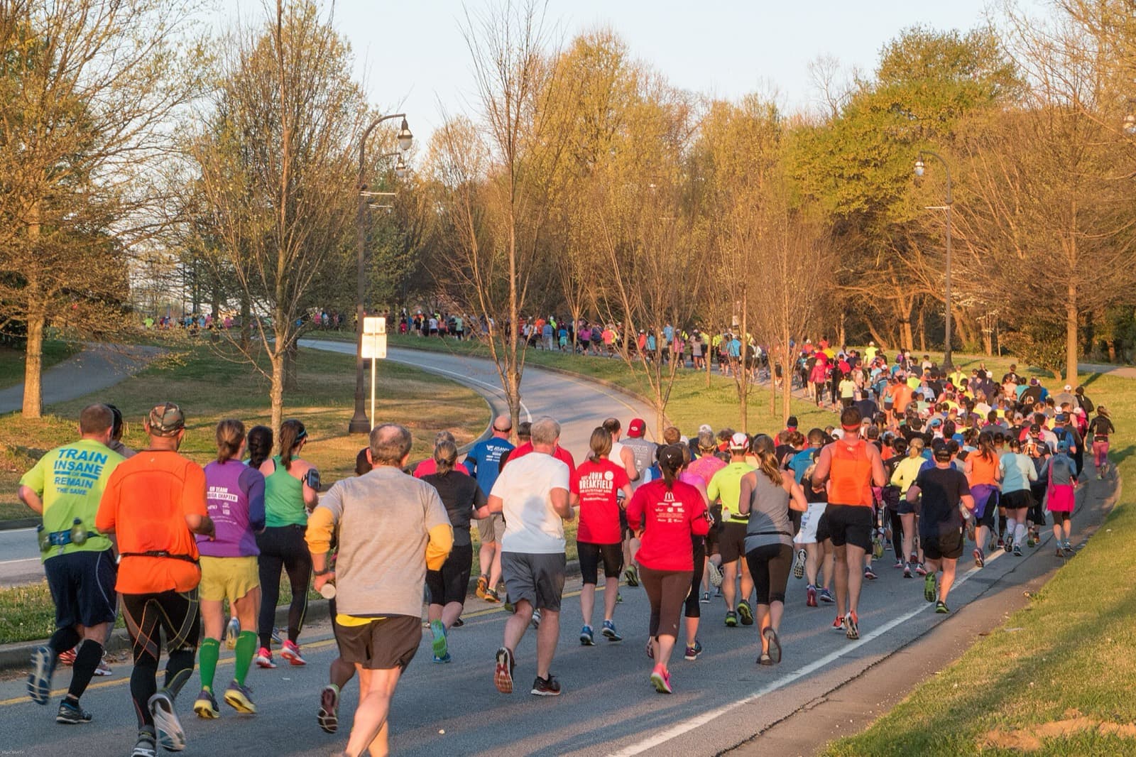 Atlanta Marathon: runners climbing freedom parkway on the marathon course (2016)