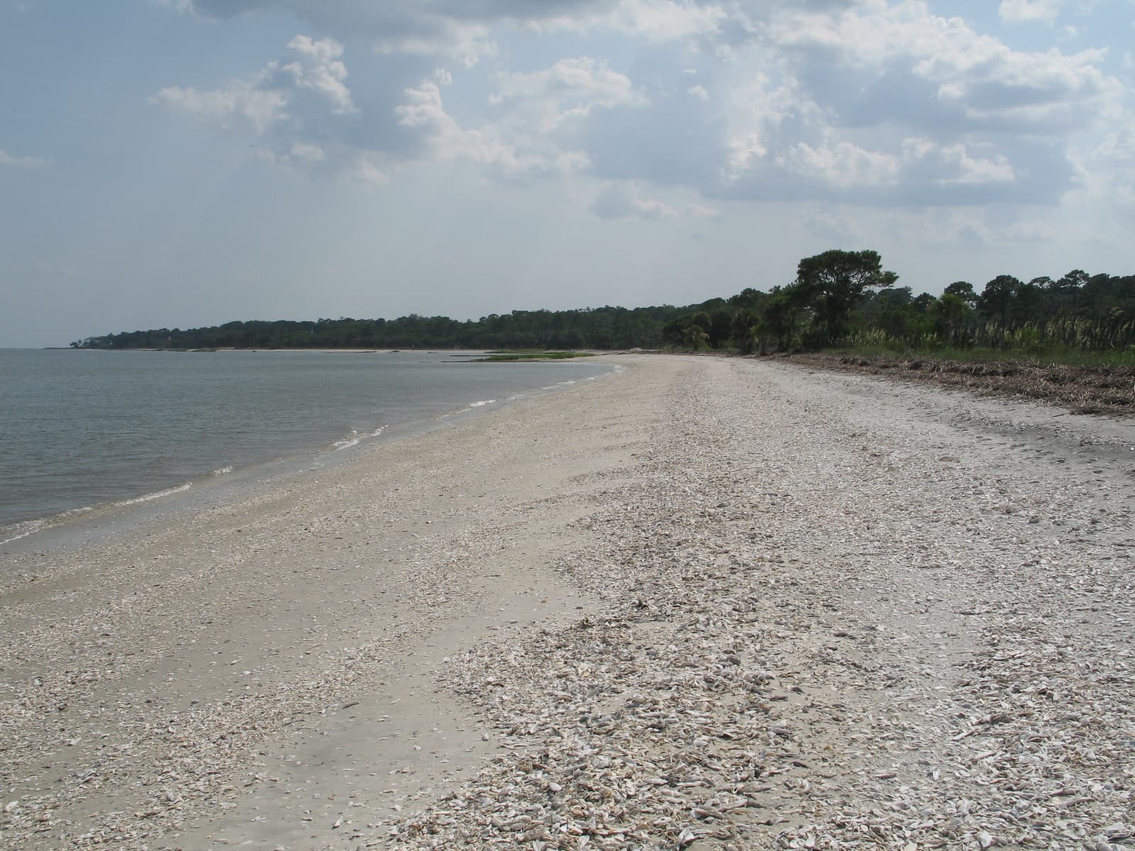 Daufuskie Island Marathon: shell and sand beach on daufuskie island, like the beach stretch of the course