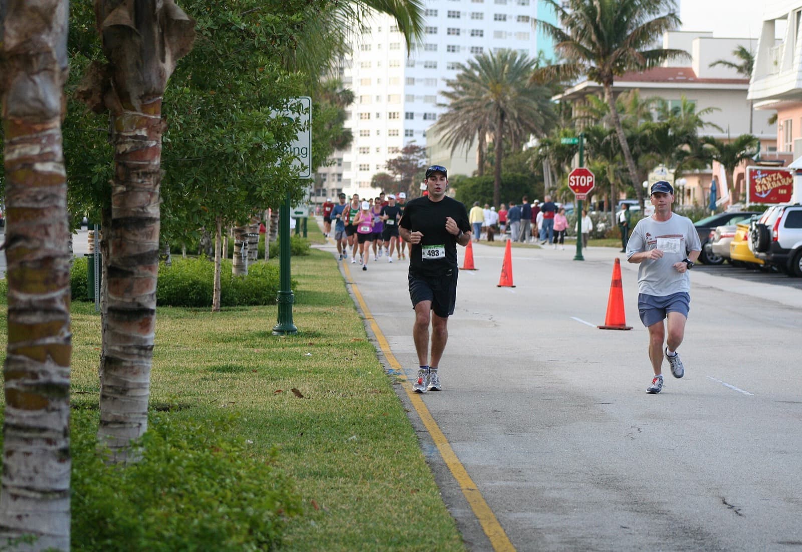 Publix Fort Lauderdale A1A Marathon: runners on a palm-lined street during the 2009 a1a marathon in lauderdale-by-the-sea