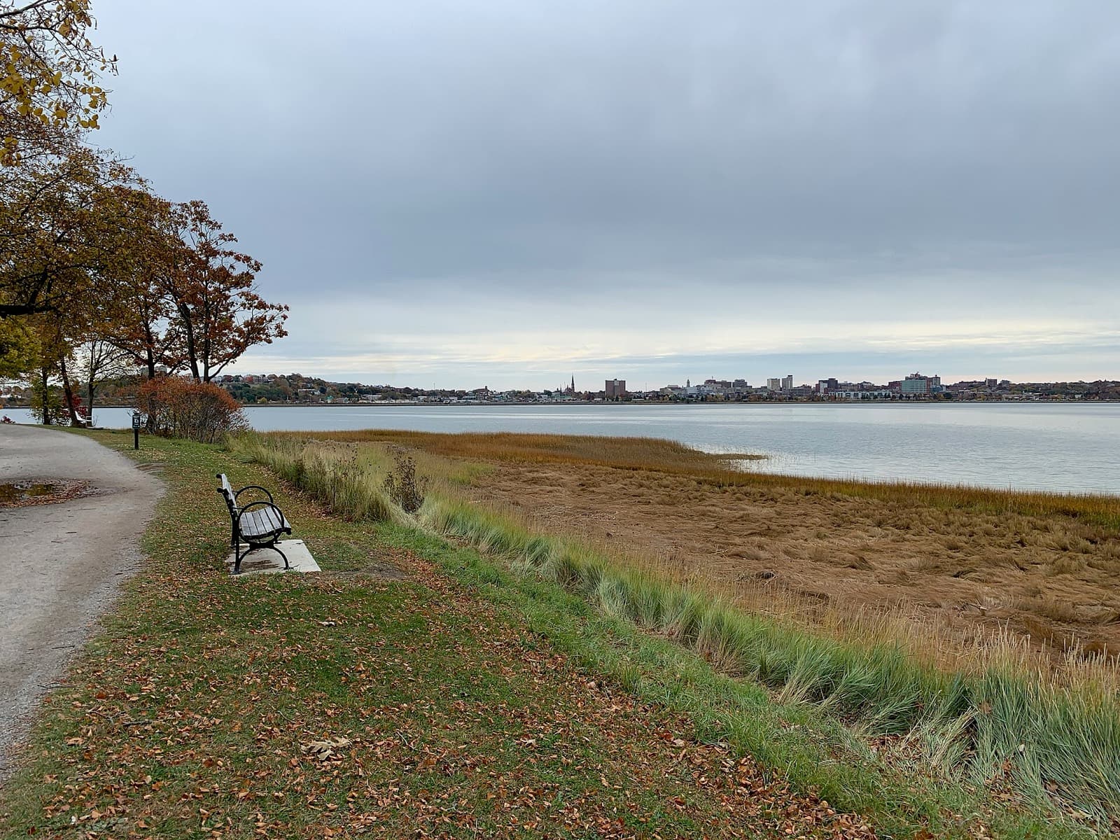 Maine Marathon: back cove path with the portland skyline across the water in autumn, the race start and finish area
