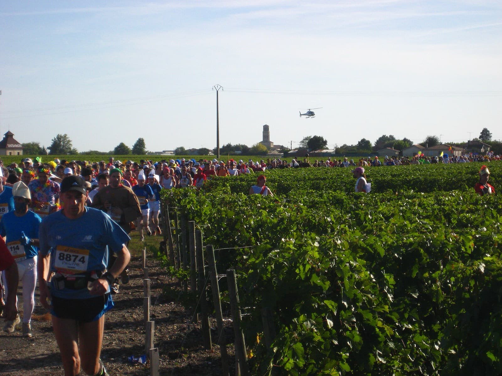 Marathon du Médoc: runners in costume streaming along a dust track beside vines at the marathon du médoc