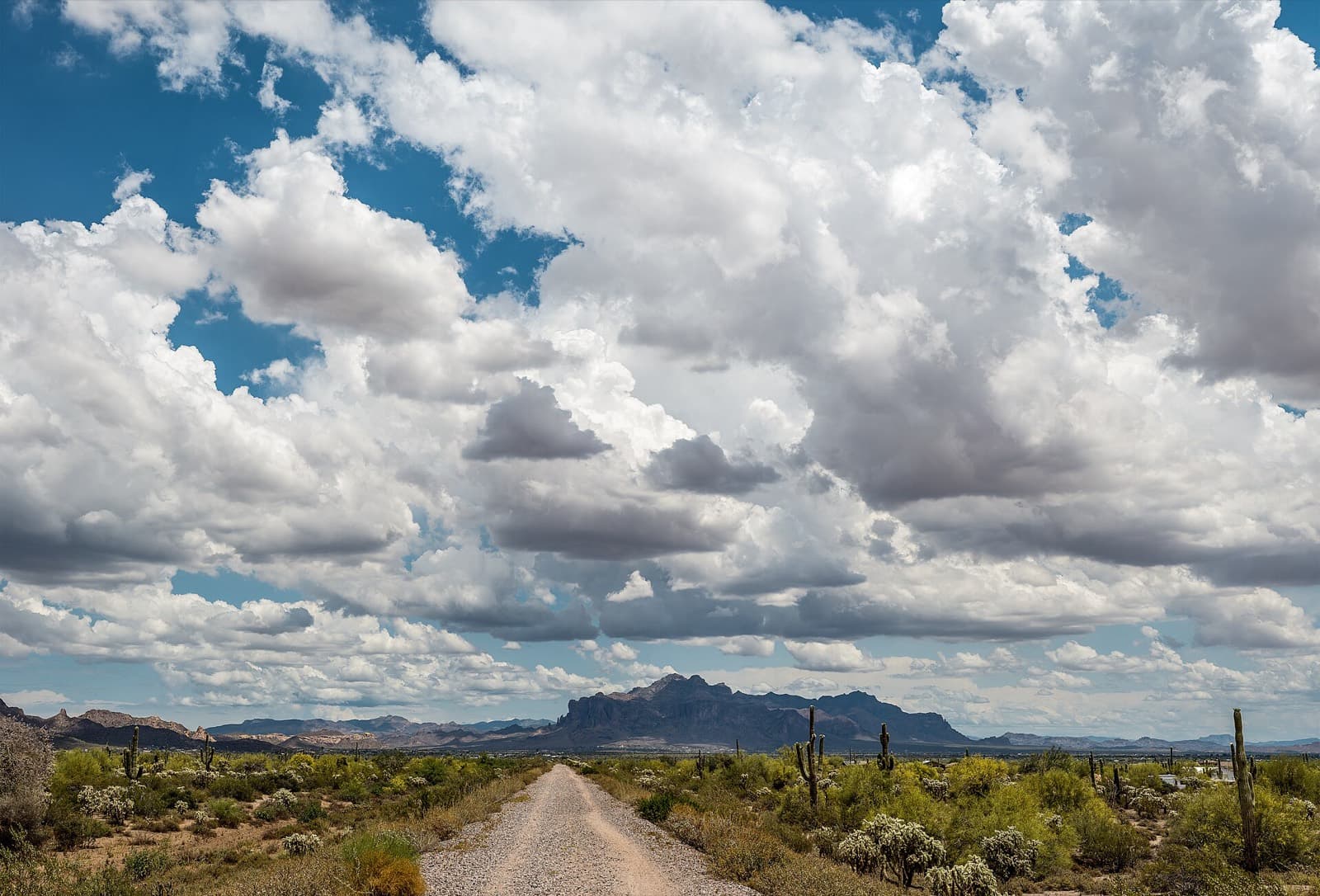 Mesa Marathon: sonoran desert and superstition mountains at usery mountain regional park, beside the start area