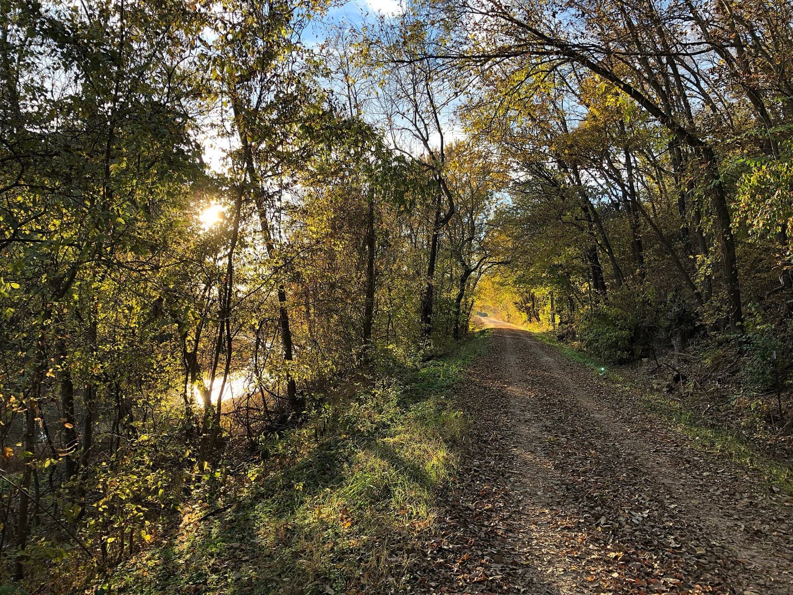 MO' Cowbell Marathon: katy trail state park, the crushed limestone trail used on the course's second half