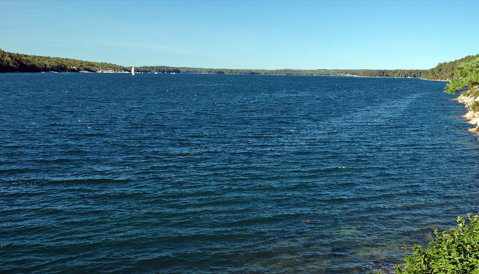 Mount Desert Island Marathon: somes sound, the fjord the course follows
