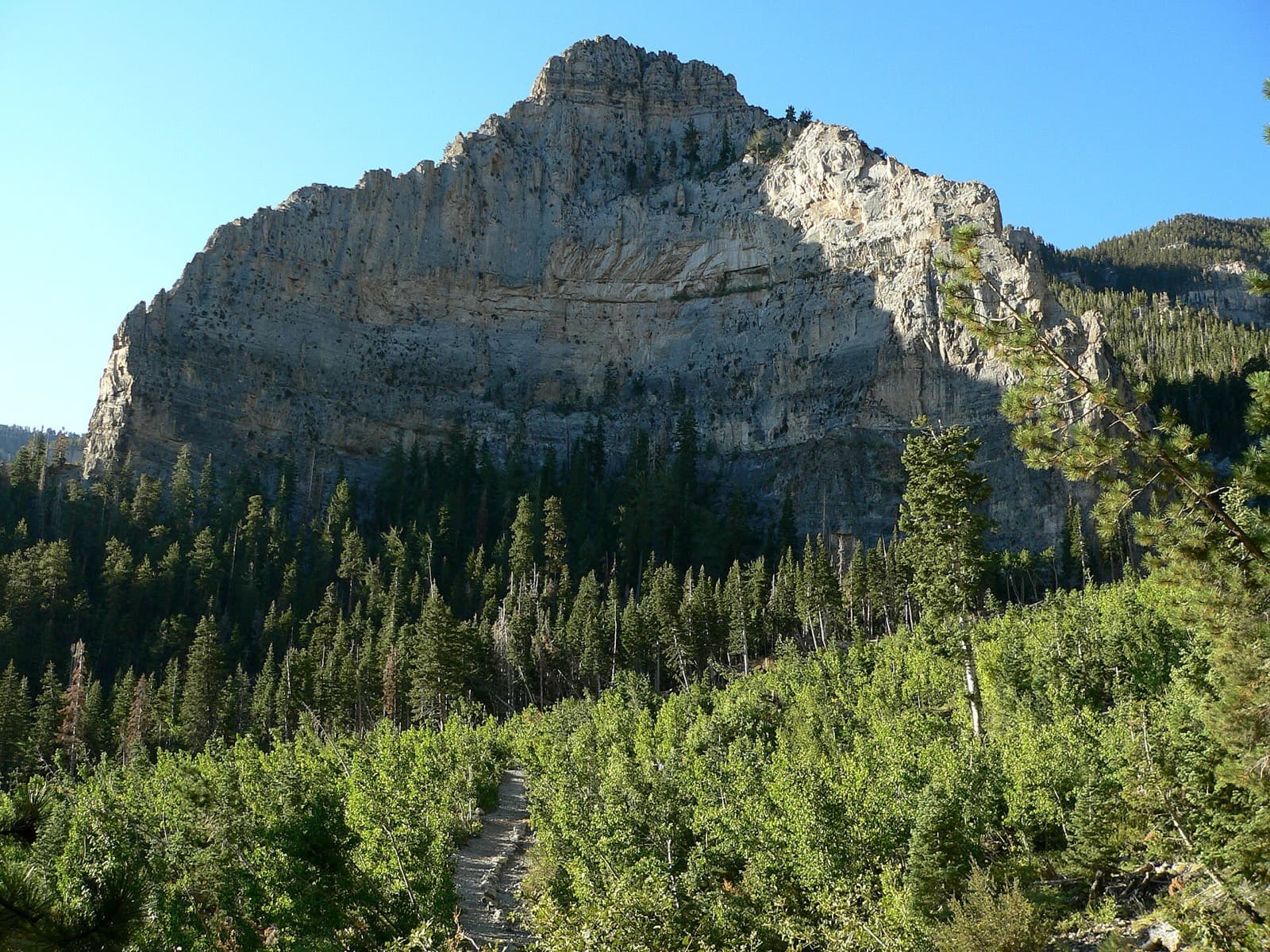 Revel Mt. Charleston Marathon: limestone cliffs above kyle canyon in the spring mountains near the marathon start