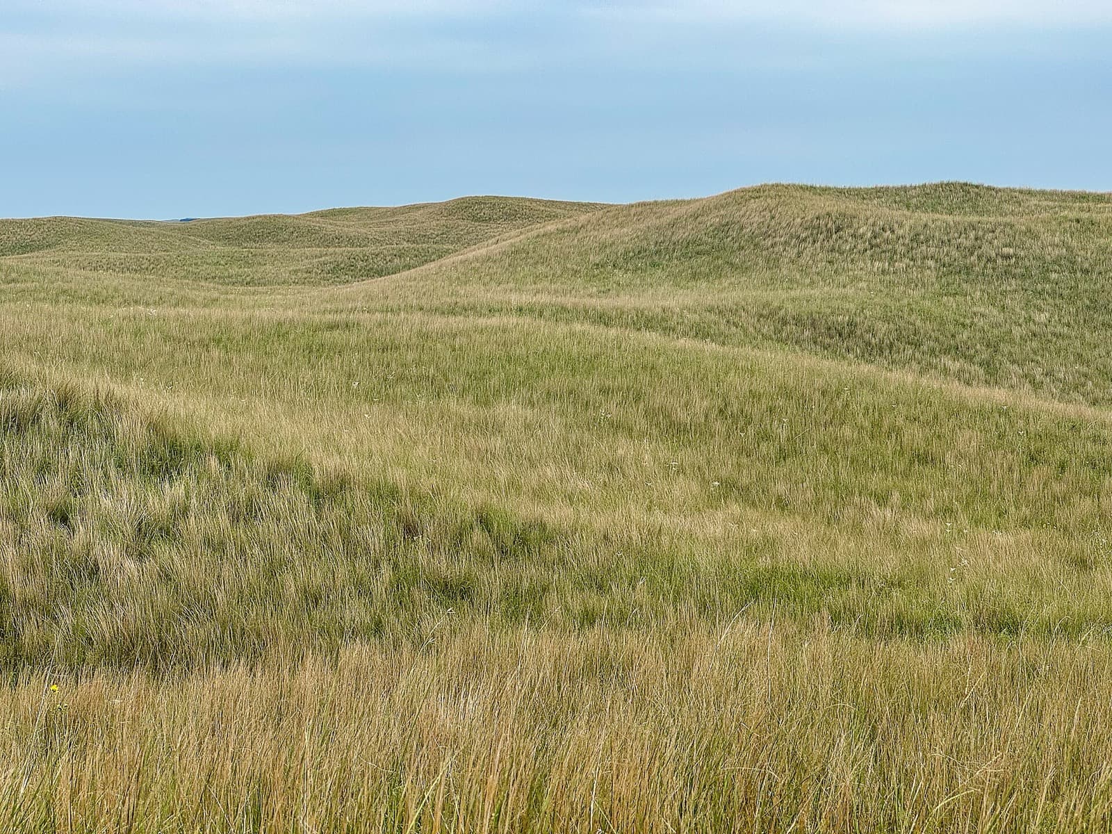 Sandhills Marathon: sandhills grassland near seneca, nebraska, in the same region as the course