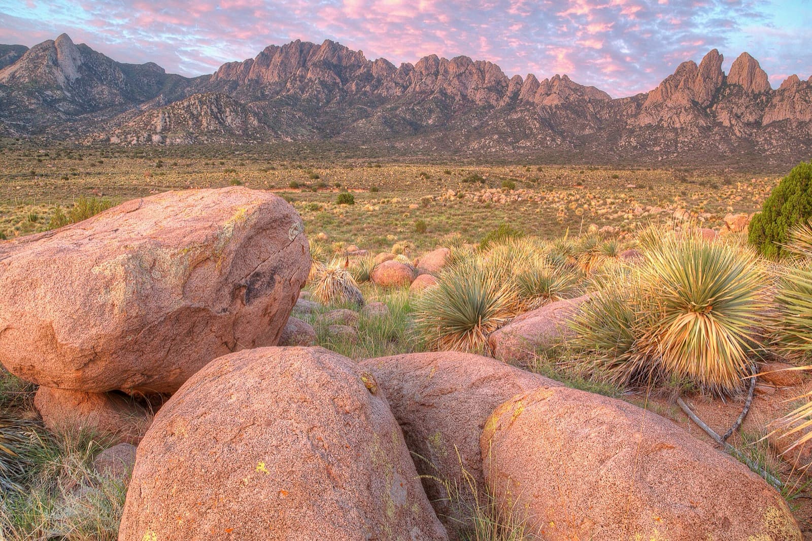 State 47 Las Cruces Marathon: organ mountains above las cruces, visible from the course