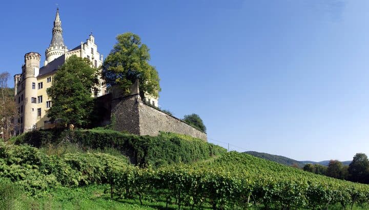 Schloss Arenfels above its vineyard, Bad Hönningen