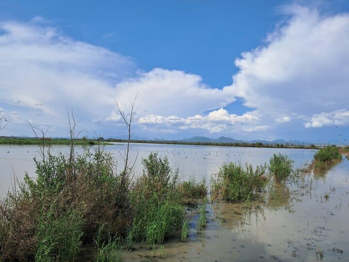 Lake Texcoco wetlands, Parque Ecológico Lago de Texcoco