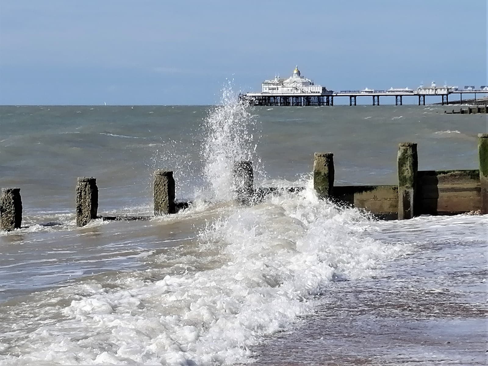 Eastbourne Triathlon and Multisport Festival: eastbourne beach and pier from the shingle, the swim backdrop