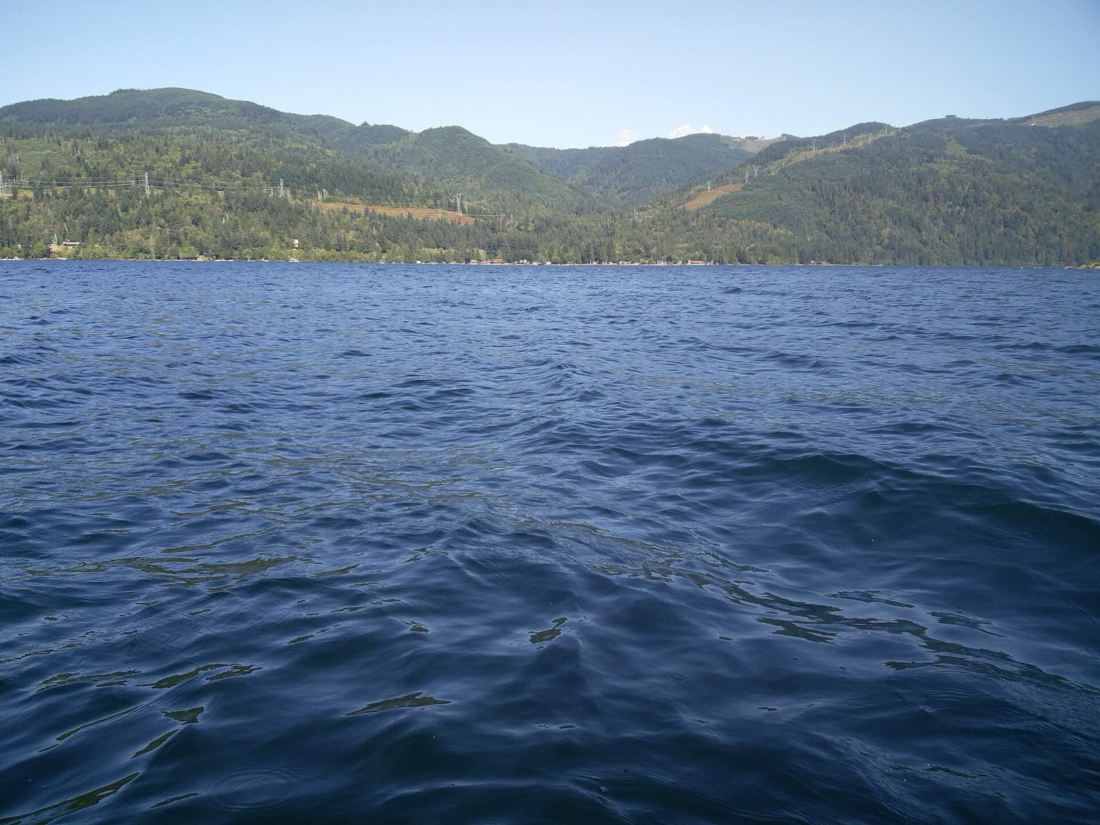 Lake Whatcom Triathlon: lake whatcom from the water, forested hills behind