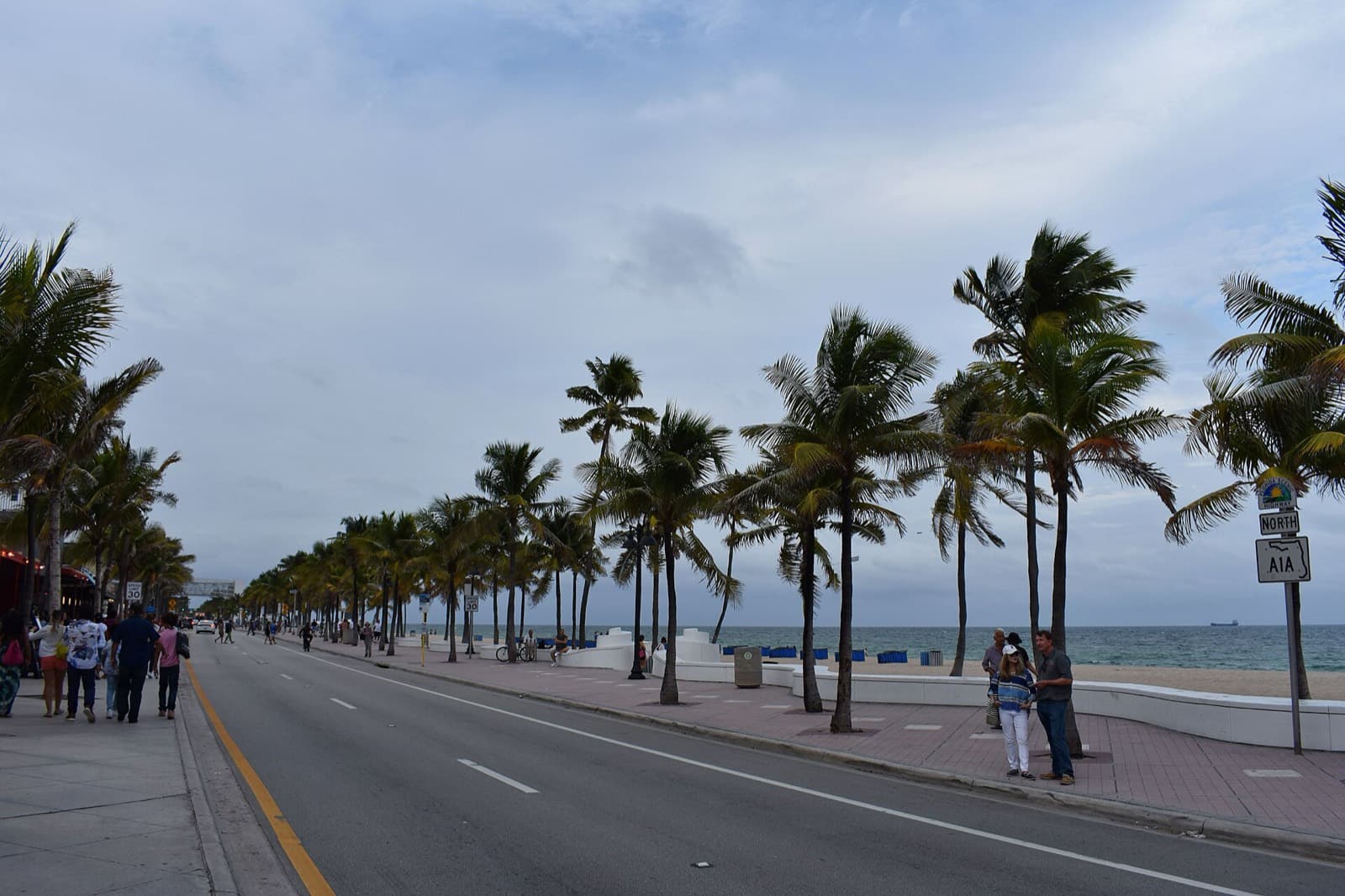 Las Olas Triathlon (Fort Lauderdale A1A Triathlon): a1a beach boulevard lined with palms and the ocean beyond, the bike and run route