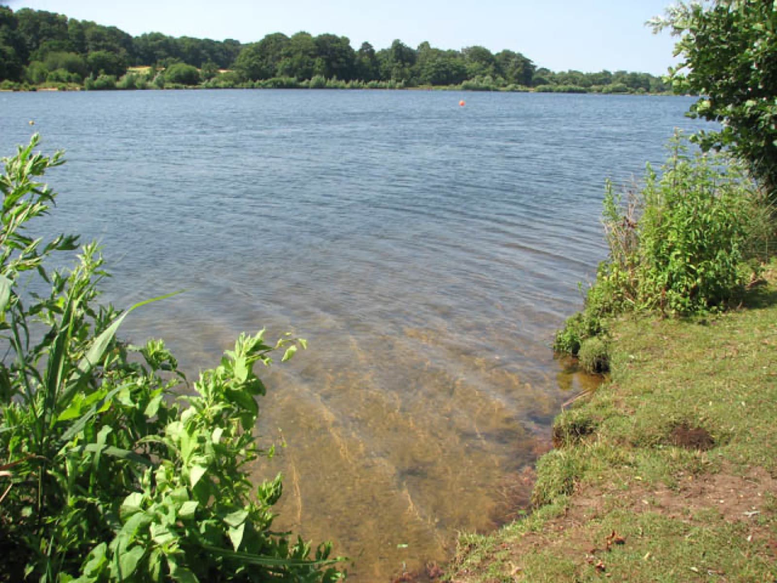 Norwich Triathlon: whitlingham great broad, norwich: the swim venue and run loop (low-resolution source)