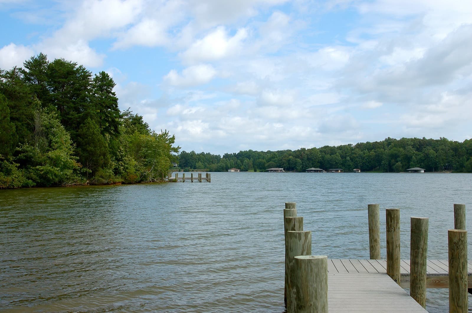 Rumpus in Bumpass Triathlon Festival: lake anna from a dock, wooded shore and boat houses (park on the same lake, not the race marina)