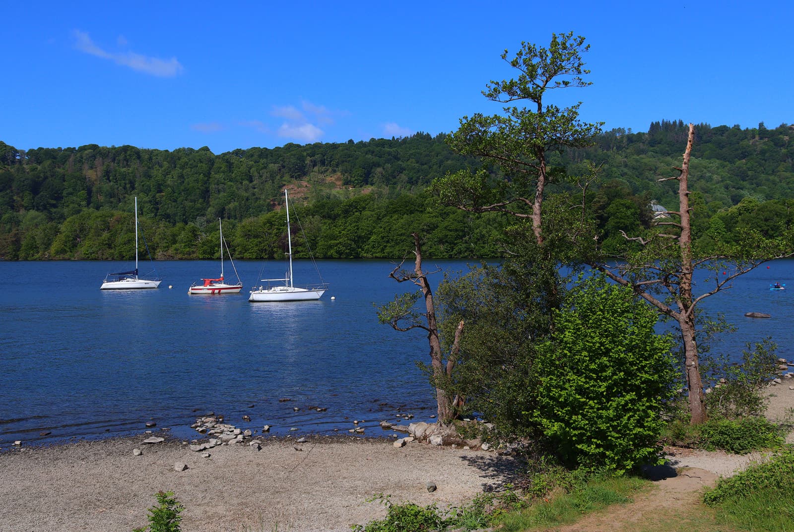 Windermere Triathlons and Multisport Weekend: lake windermere shoreline at cockshott point with sailing boats