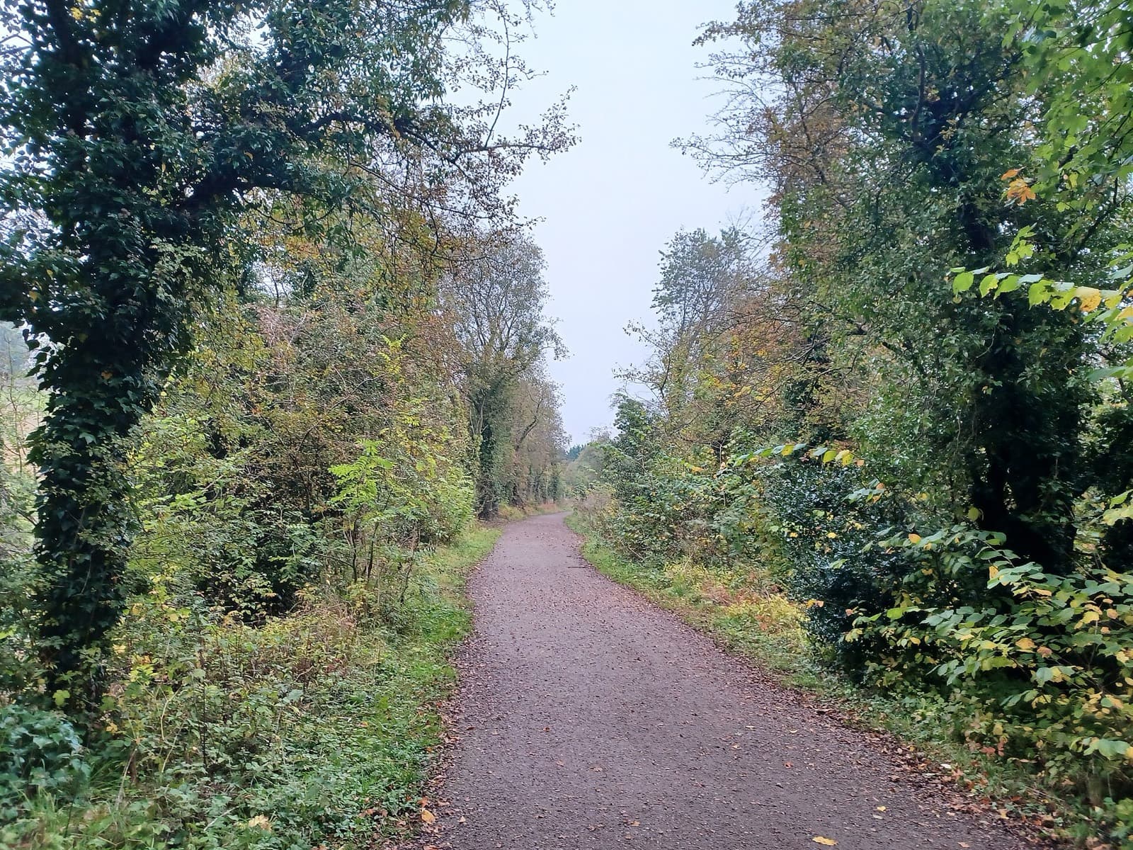 Ashbourne Sprint Triathlon: tissington trail near ashbourne (run course)