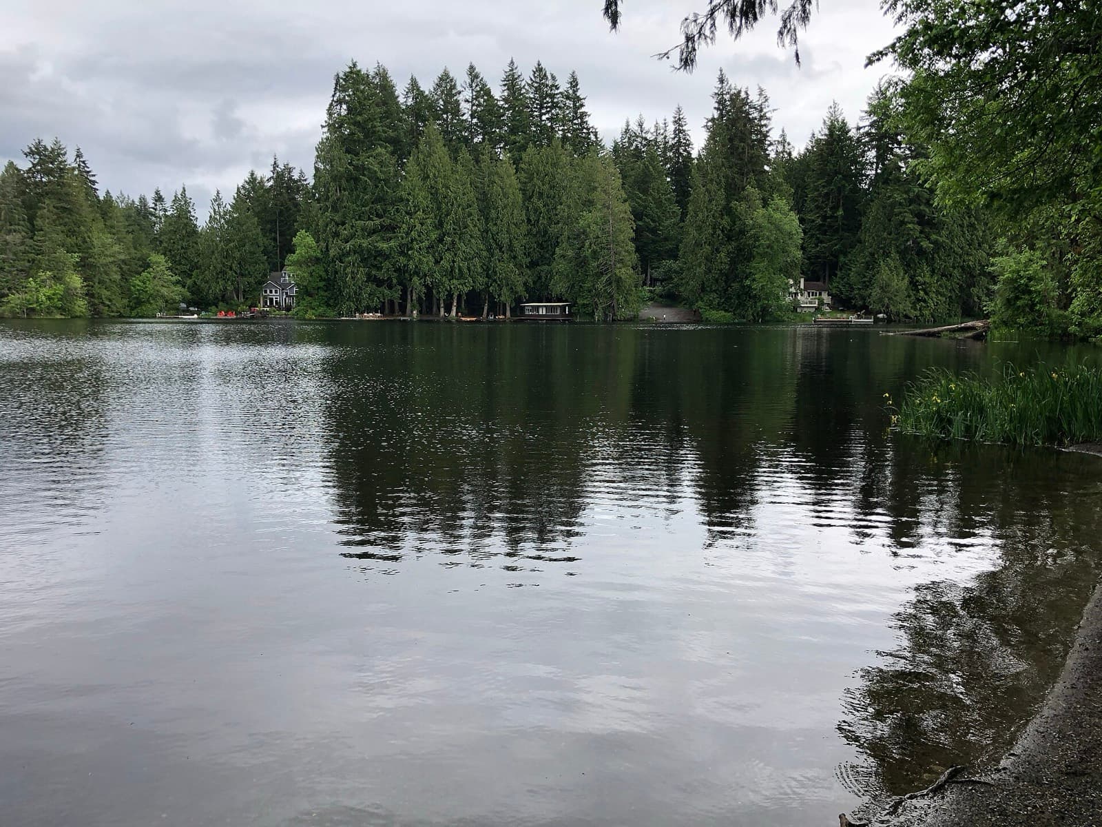 Beaver Lake Triathlon: beaver lake with forested shoreline