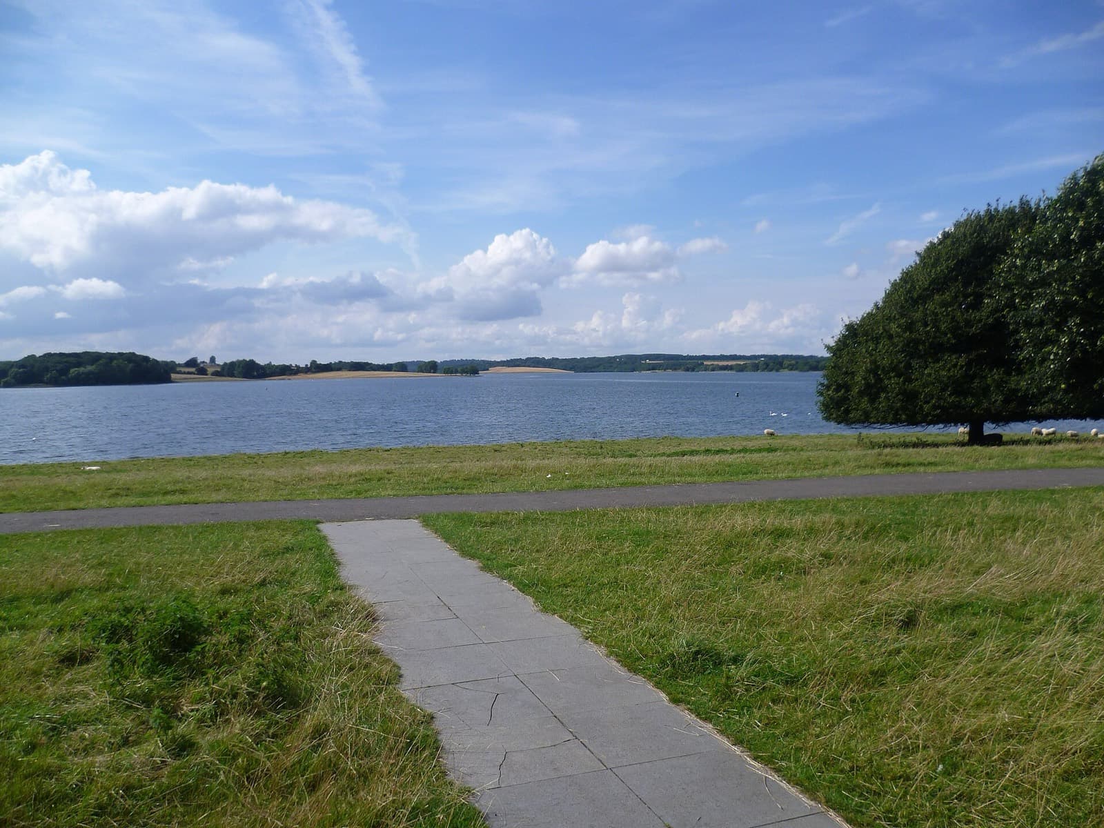 Dambuster Triathlon (Rutland Water): rutland water shoreline with path