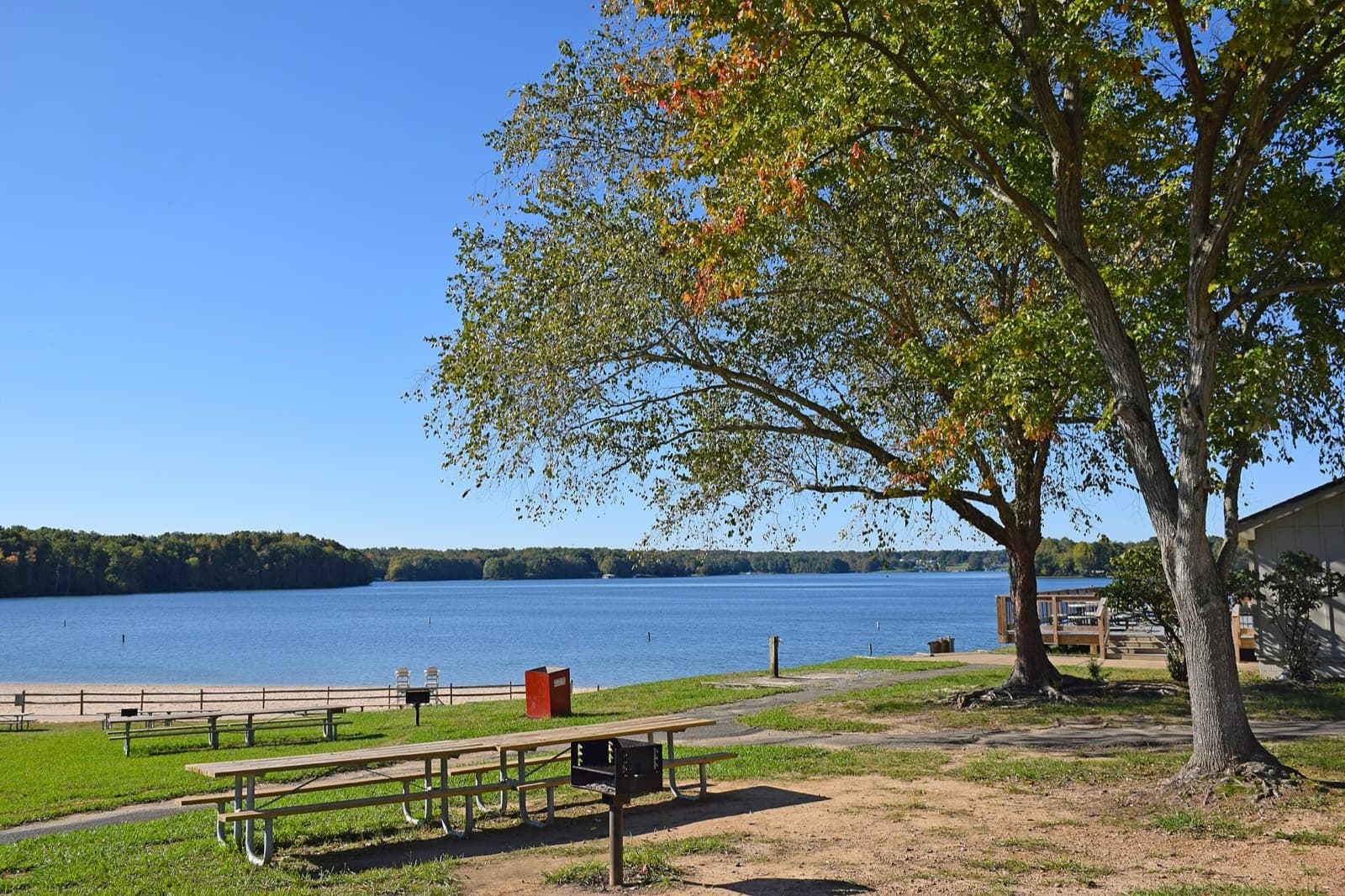 Kinetic Triathlon Festival: lake anna state park swim beach and picnic area on a clear autumn day (venue, not race day)