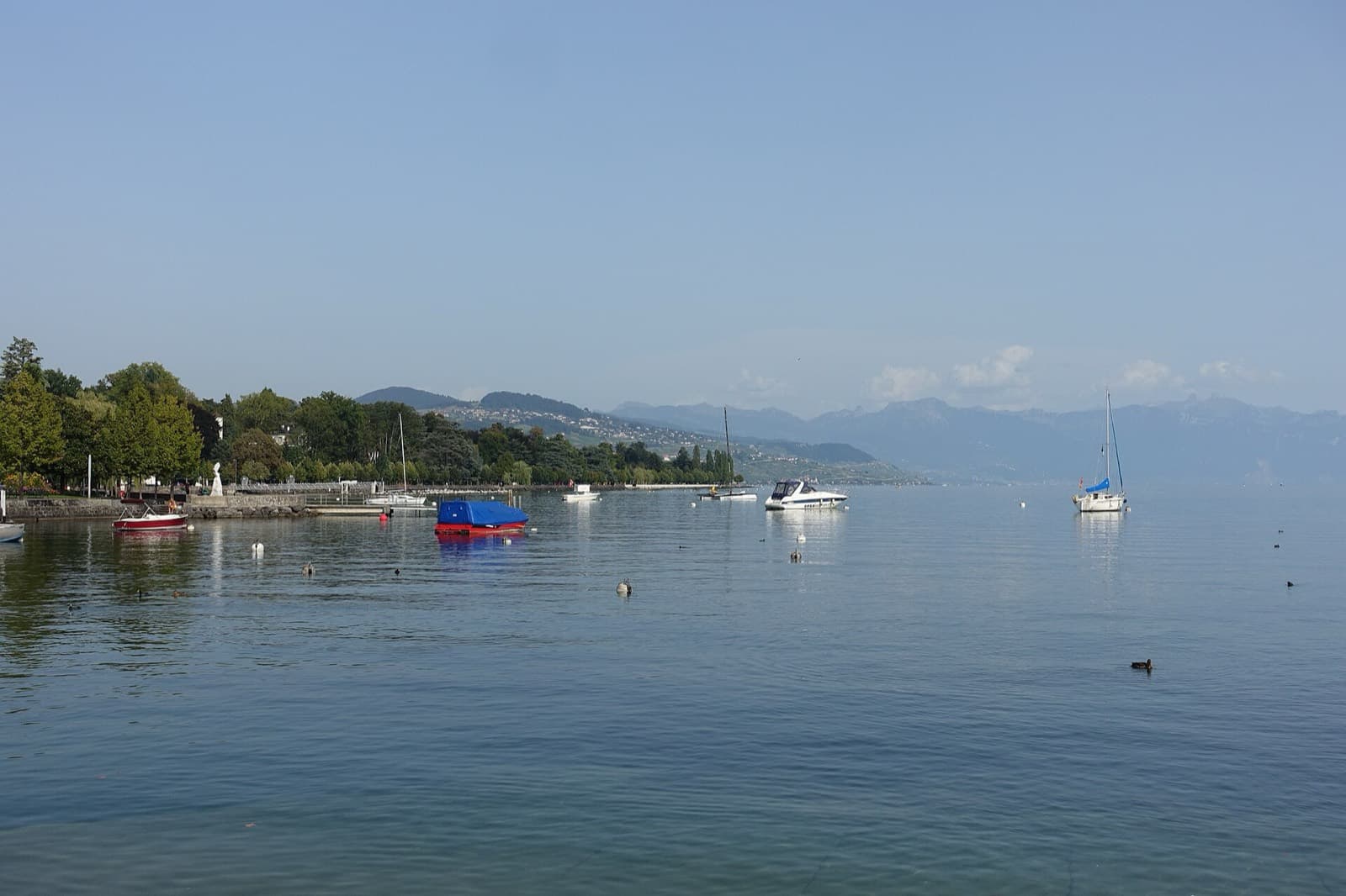 Lausanne Triathlon (Triathlon de Lausanne): lake geneva at ouchy, lausanne