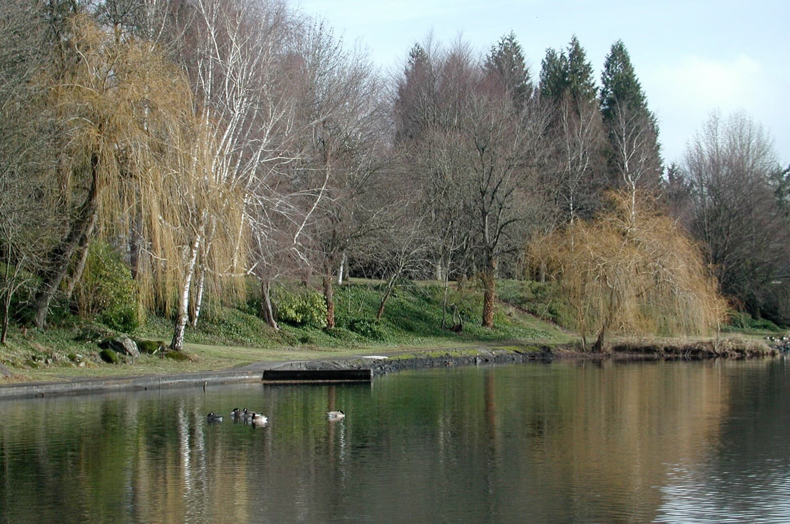 PDX Triathlon Festival (Portland Triathlon at Blue Lake): blue lake shoreline at blue lake regional park, the swim venue