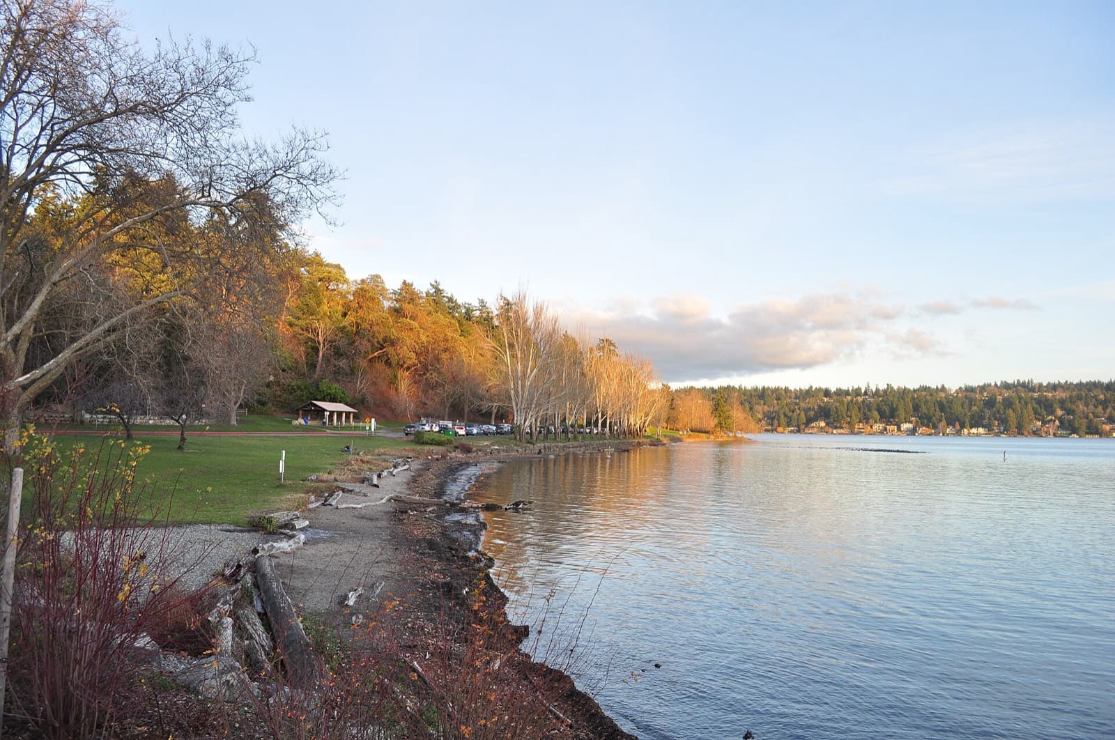 Seafair Triathlon: seward park south shoreline on lake washington