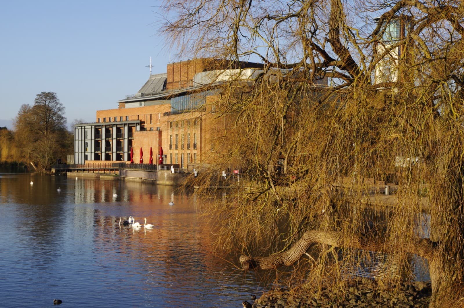 Warwickshire Triathlon (Stratford): river avon at stratford with the theatre