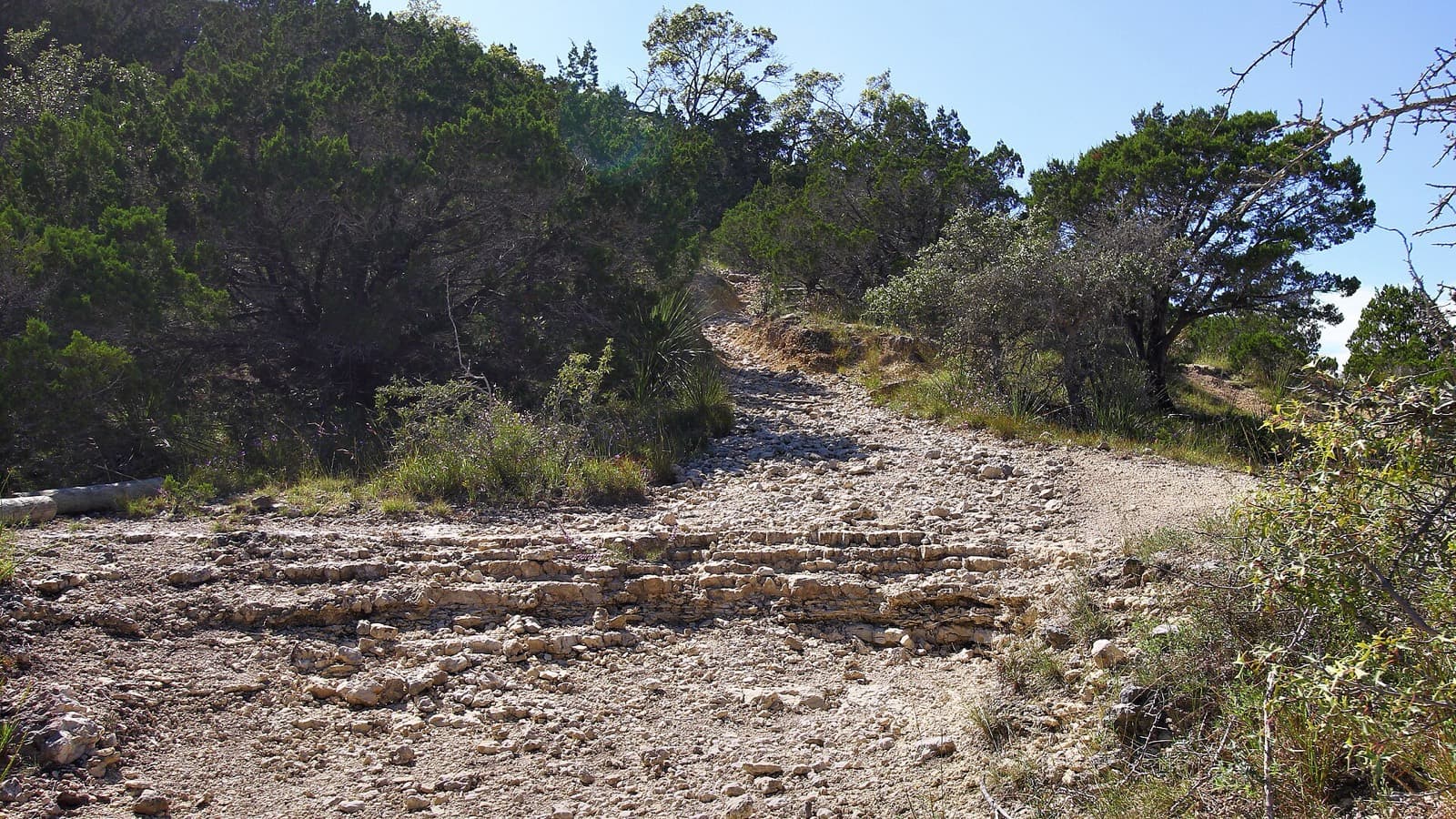 Bandera 100K (Bandera Endurance Trail Race): rocky limestone trail in hill country state natural area, the race venue