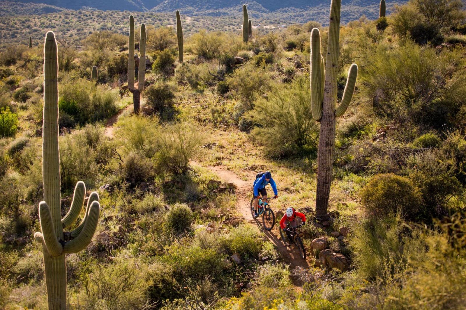 Black Canyon 100K: riders on the black canyon trail among saguaros