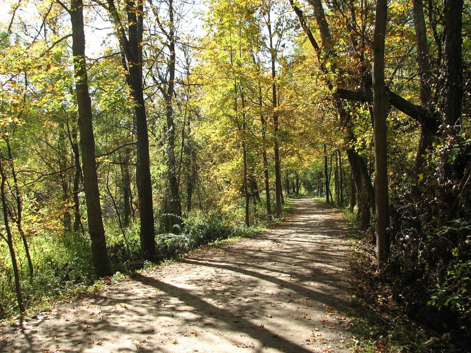 Burning River 100 Mile Endurance Run: ohio and erie canal towpath trail in autumn, cuyahoga valley