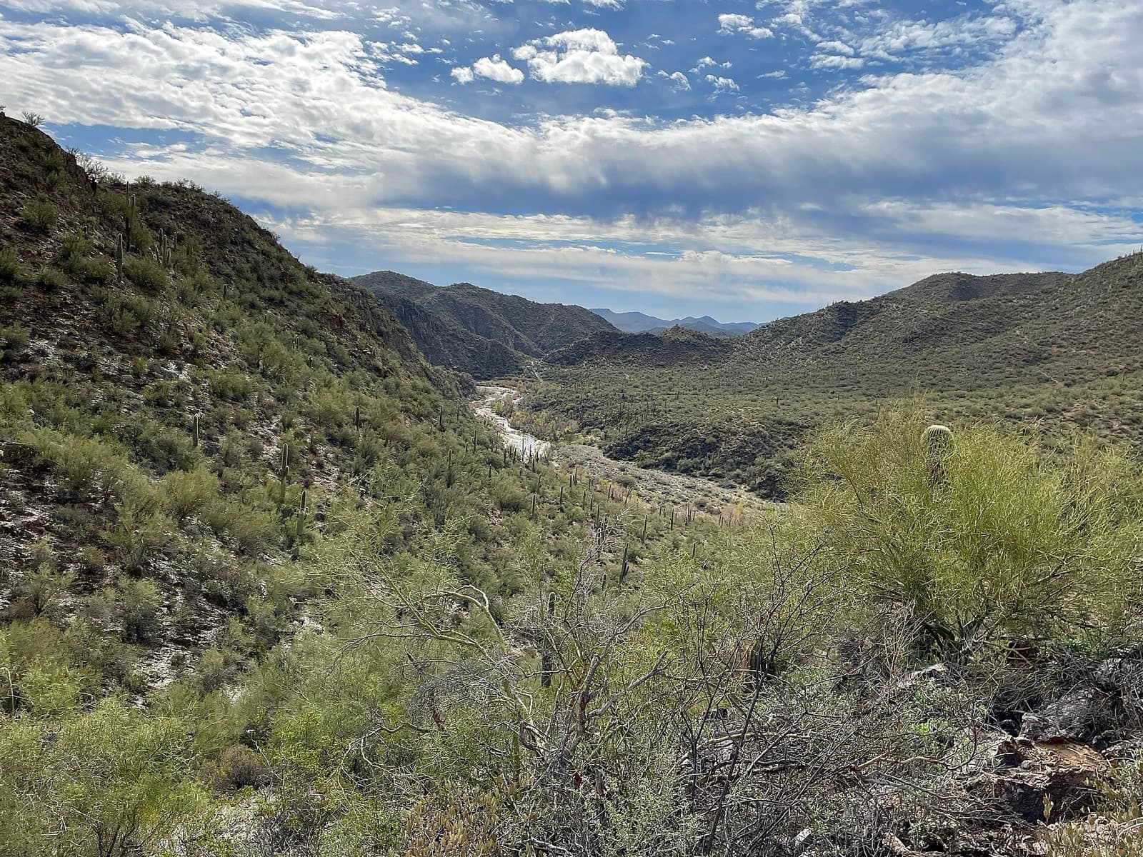 Cocodona 250: black canyon national recreation trail near black canyon city, the race start