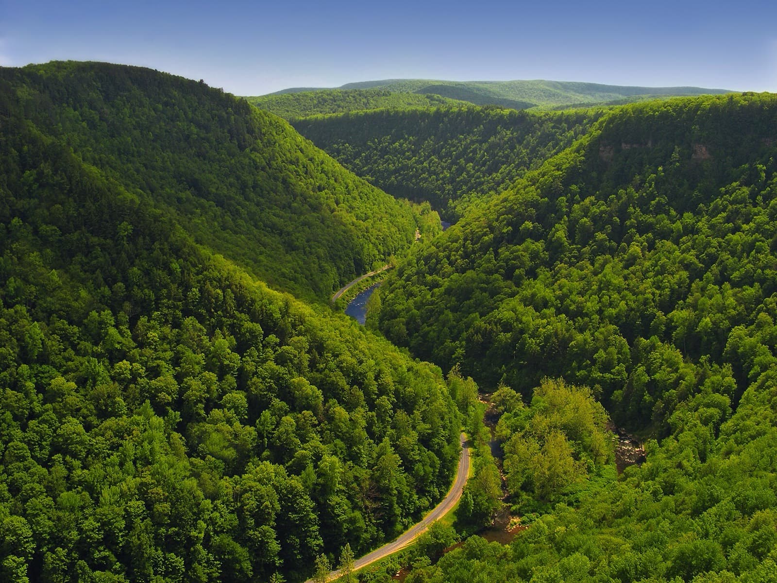 Eastern States 100: pine creek gorge from the west rim trail, a trail used by the course